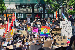 Año Internacional de la Lucha contra el Racismo y la Discriminación Racial