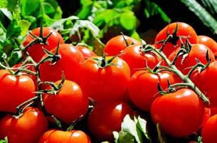 Año Internacional de las Frutas y Verduras Año Internacional de las Frutas y Verduras