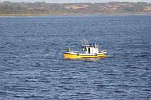 Año Internacional de la Pesca y la Acuicultura Artesanales