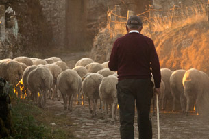 Año Internacional de los Pastizales y los Pastores