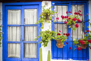 Día de Andalucía