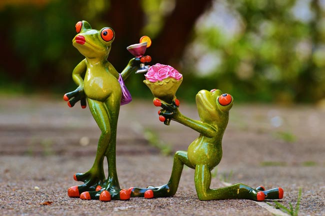 Día de los Amores Imposibles Día de los Amores Imposibles