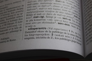 Día Internacional del Esperanto