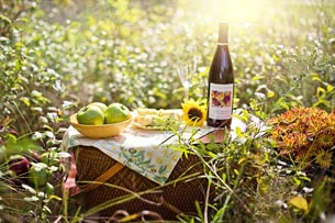 Día Internacional del Picnic