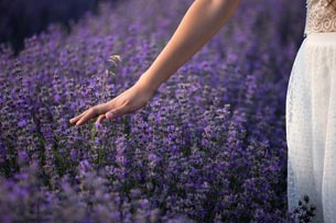 Día Mundial de la Jardinería nudista