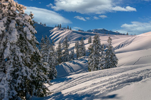 Día Mundial de la Nieve