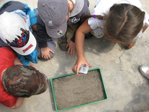 Día Mundial de la Educación Ambiental