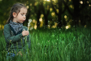 Día Mundial de la Educación Ambiental Día Mundial de la Educación Ambiental
