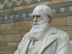 Día de Darwin