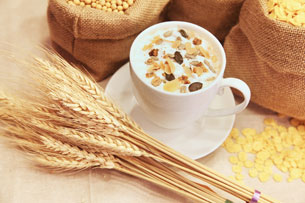 Día Mundial de los Cereales