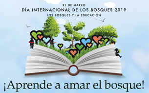 Día Mundial de los Bosques Día Mundial de los Bosques