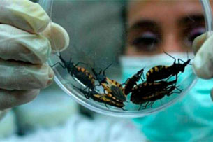 Día Mundial de la Enfermedad de Chagas