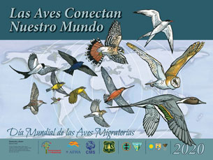 Día Mundial de las Aves Migratorias