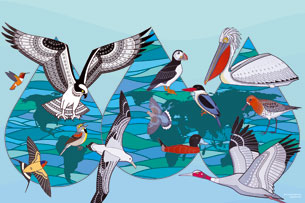 Día Mundial de las Aves Migratorias Día Mundial de las Aves Migratorias