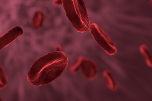 Día Mundial del Cáncer de Sangre Día Mundial del Cáncer de Sangre