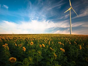 Día Global del Viento