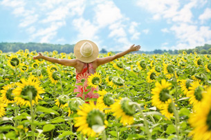 Yellow Day, el Día más feliz del año