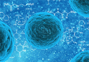 Día Mundial de la Sepsis Día Mundial de la Sepsis