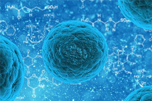 Día Mundial de la Sepsis Día Mundial de la Sepsis