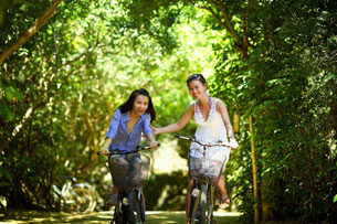 Día Mundial de la Salud Ambiental Día Mundial de la Salud Ambiental