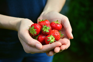 Día Internacional de Concienciación sobre la Pérdida y el Desperdicio de Alimentos