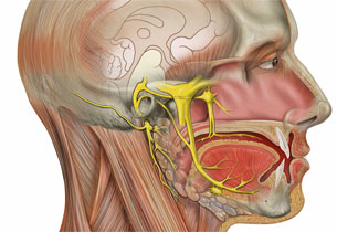 Día Internacional de la Neuralgia Trigeminal Día Internacional de la Neuralgia Trigeminal