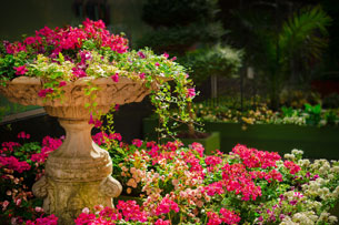 Día Mundial de los Jardines Botánicos