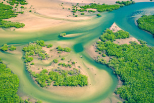 Día Mundial de los Sistemas de Información Geográfica Día Mundial de los Sistemas de Información Geográfica