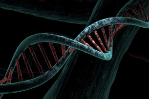 Día de Concienciación sobre el Síndrome de Menkes