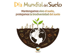 Día Mundial del Suelo.