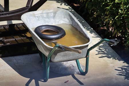 El agua estancada es el hábitat para los mosquitos El agua estancada es el hábitat para los mosquitos
