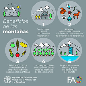 Cartel 2025 Día de las Montañas