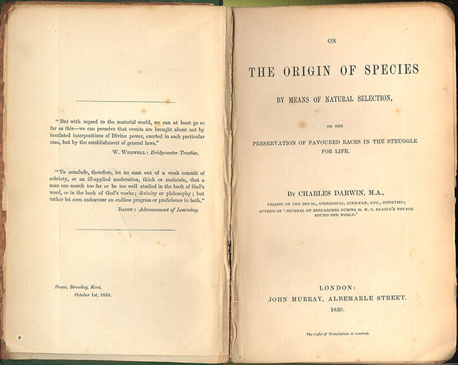 Un ejemplar de la primera edición de El origen de las especies. Dominio público.