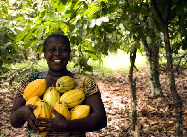 Curiosidades sobre el cacao