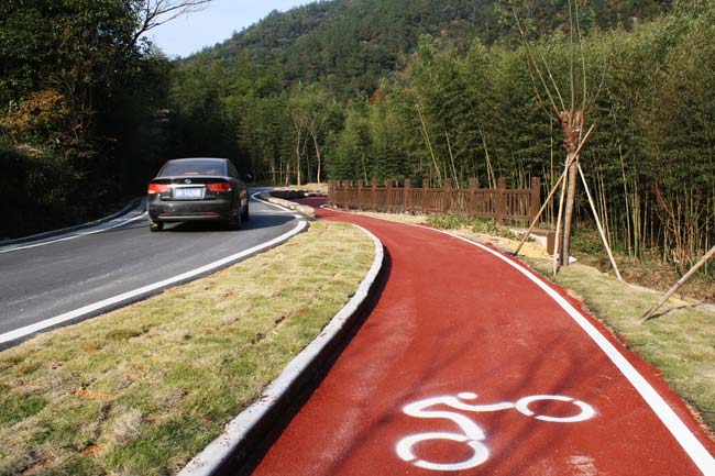 Carril bici