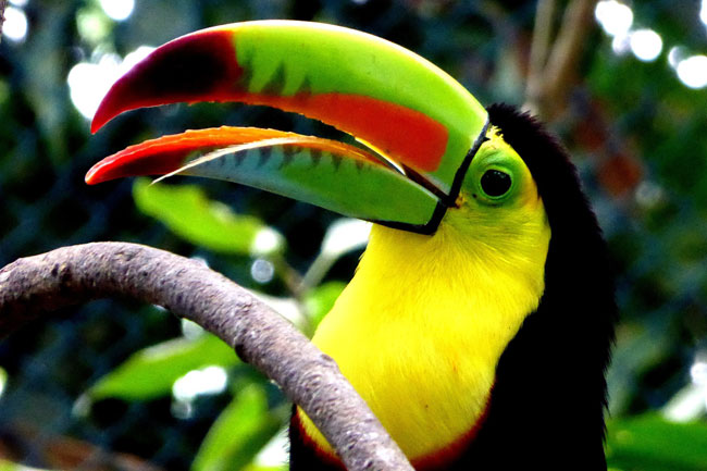 Dia Mundial Del Medio Ambiente