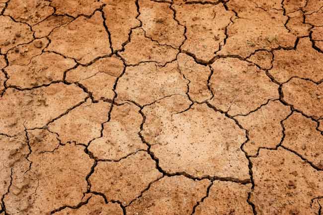 ▷ Día de Lucha contra la Desertificación y la Sequía