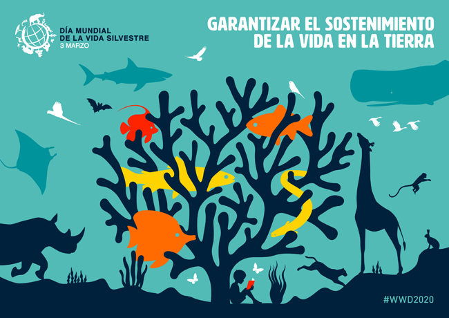 Cartel del Día Mundial de la Vida Silvestre 2020