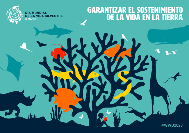 Cartel del Día Mundial de la Vida Silvestre 2020 Cartel del Día Mundial de la Vida Silvestre 2020
