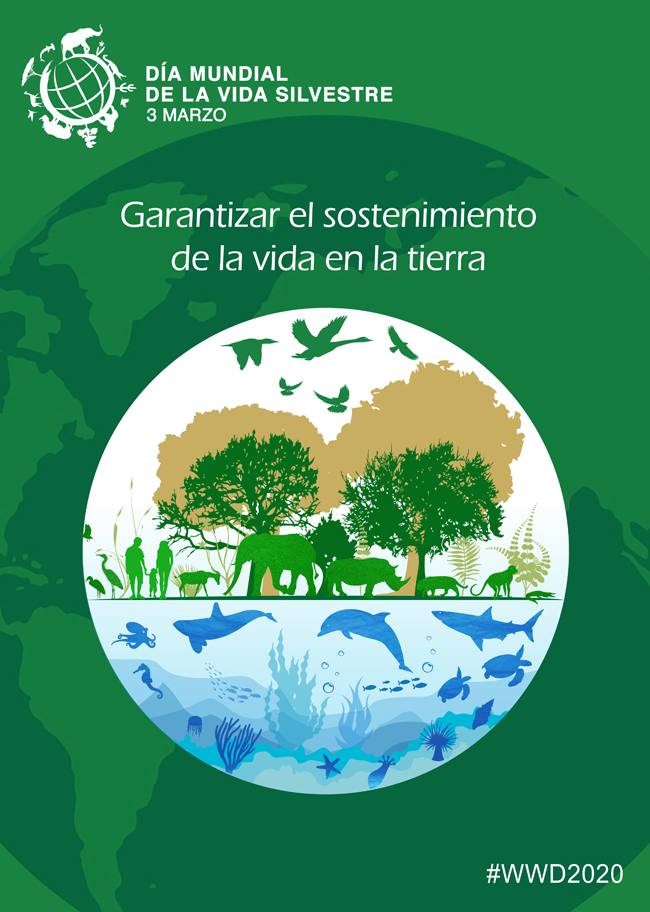 Cartel para el Día Mundial de la Vida Silvestre 2020