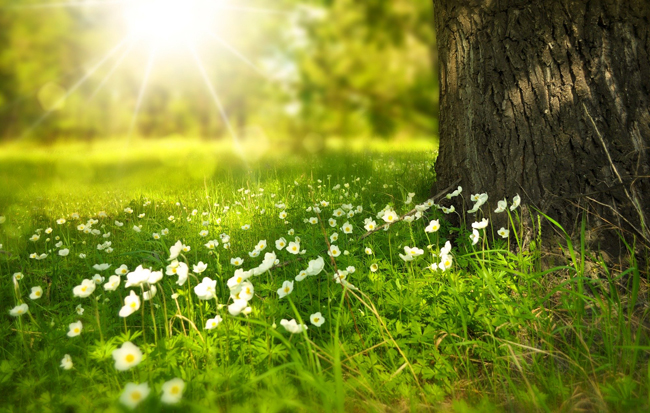 La primavera es la protagonistas de cientos de celebraciones en todo el mundo