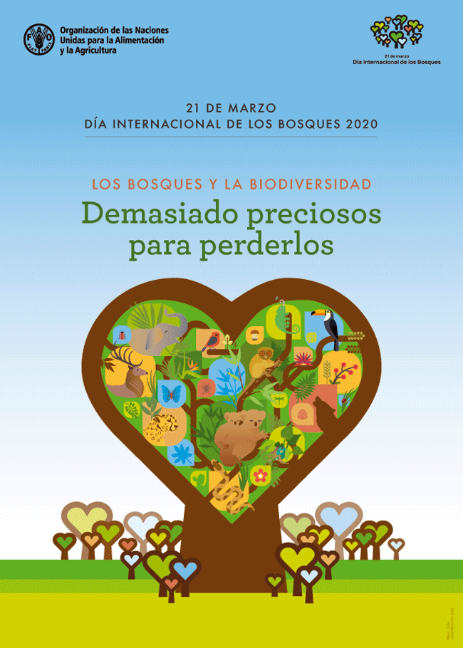 Cartel del Día Internacional de los Bosques