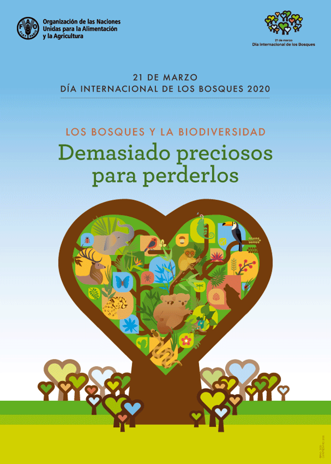 Dia Internacional De Los Bosques