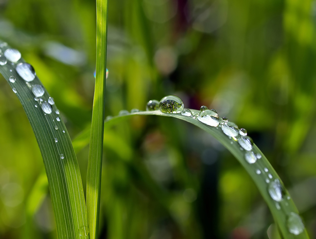 El ODS número 6 pretende garantizar agua dulce y saneamiento para todo el mundo