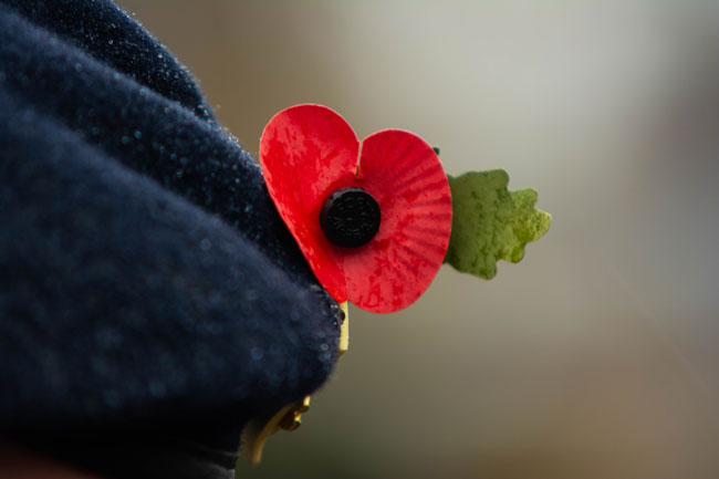 Día del recuerdo de la Guerra Mundial. La amapola roja es un símbolo de  recuerdo para los caídos en la guerra. Amapolas rojas sobre fondo de piedra  oscura Fotografía de stock 