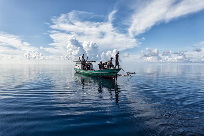 ▷ Día Mundial de la Pesca