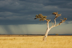 En el Día de la Tierra, estos son los progresos que se han hecho en materia de cambio climático en el mundo En el Día de la Tierra, estos son los progresos que se han hecho en materia de cambio climático en el mundo