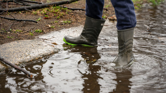 El agua estancada es el hábitat natural de los mosquitos