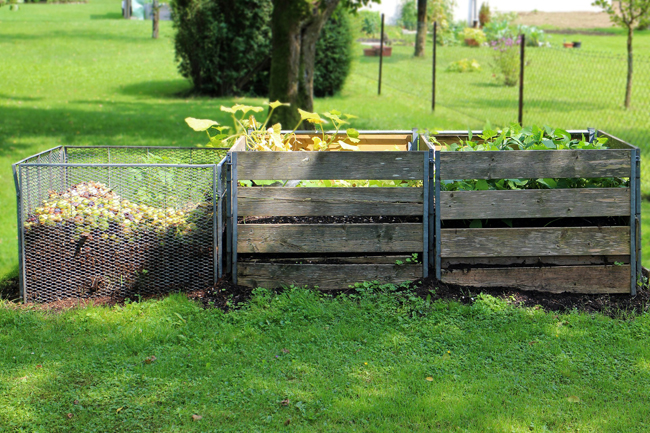 Puedes fabricar compost a partir de residuos orgánicos